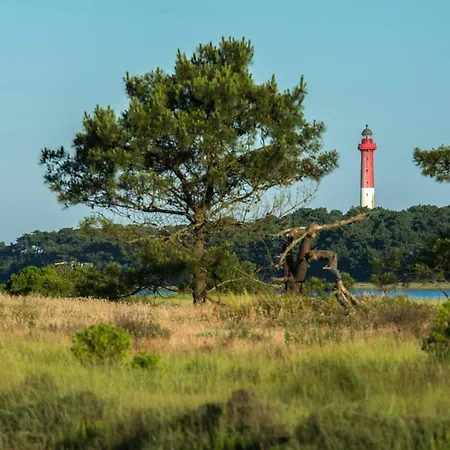 Escale Entre Terre Et * لو ماثيز